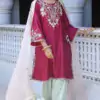 Latest Punjabi Suits