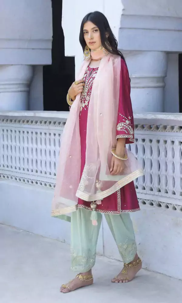 Latest Punjabi Suits