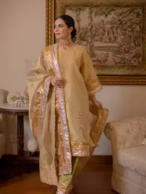 Wedding Wear Punjabi Suit 6