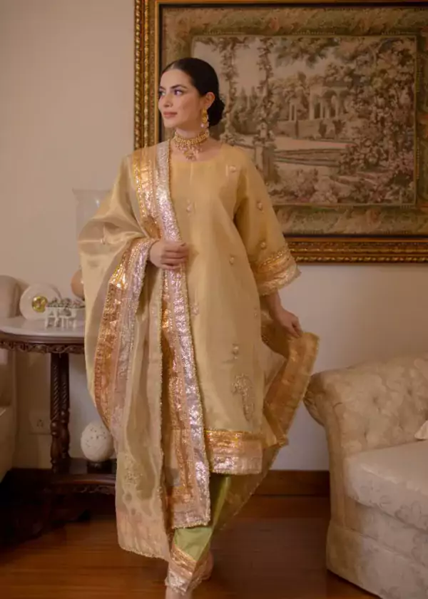 Wedding Wear Punjabi Suit 6