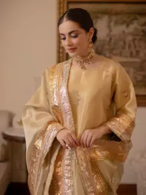 Wedding Wear Punjabi Suit 5