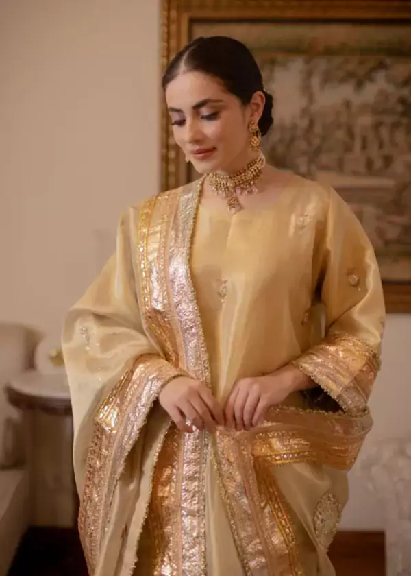 Wedding Wear Punjabi Suit 5