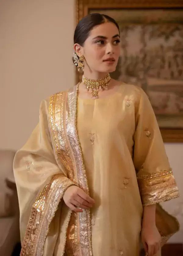 Wedding Wear Punjabi Suit 4