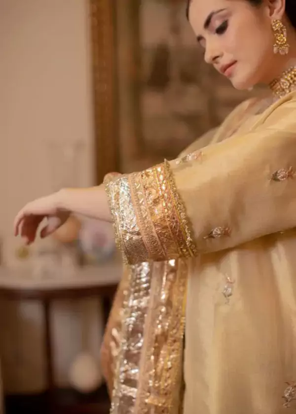 Wedding Wear Punjabi Suit 3