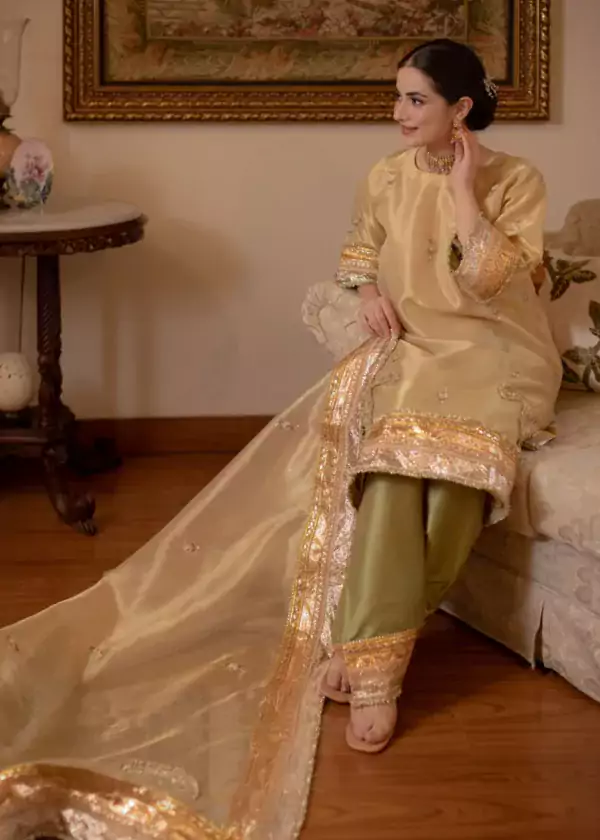 Wedding Wear Punjabi Suit 2