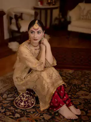ladies punjabi suit 10