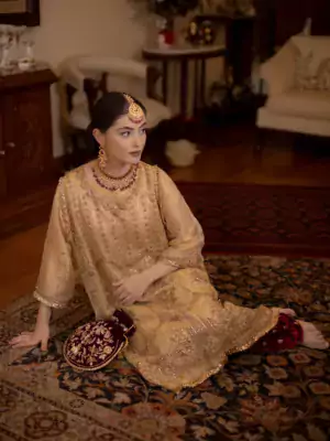 ladies punjabi suit 2