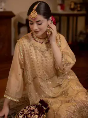 ladies punjabi suit 3