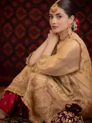 ladies punjabi suit 4