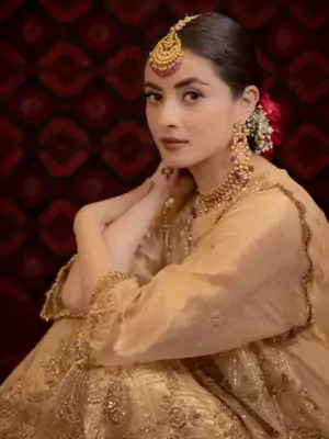 ladies punjabi suit 6