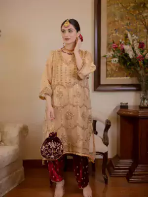 ladies punjabi suit 7