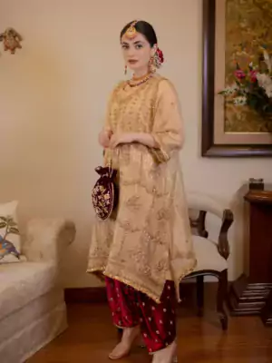 ladies punjabi suit 8