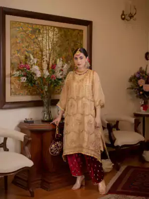 ladies punjabi suit 9