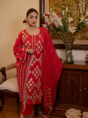 Punjabi Suit Design | Red Online - Fashion Doctorz