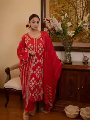 punjabi suit dress4