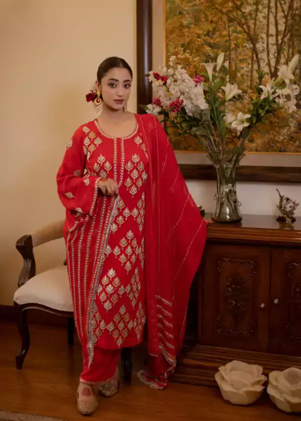 punjabi suit dress4