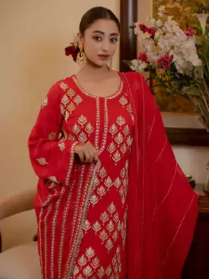 punjabi suit dress5