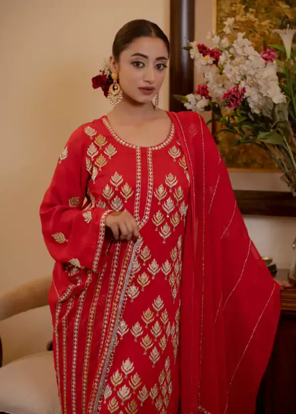 punjabi suit dress5