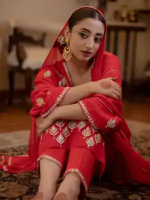 punjabi suit dress7