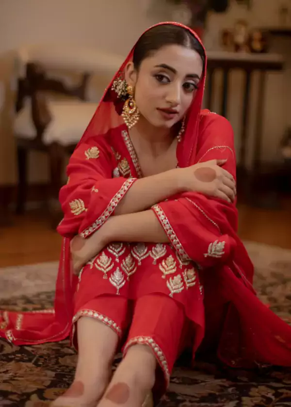 punjabi suit dress7