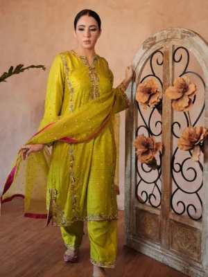 New Punjabi Suit Design 2023