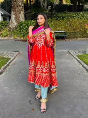 100 Latest and Trending Punjabi Salwar Suit Designs To Try in (2022) - Tips  and Beauty | Velvet dress designs, Stylish party dresses, Party wear dresses