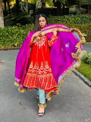 PATIYALA New Designer Cotton Punjabi Salwar Suit at Rs 799/piece in Surat
