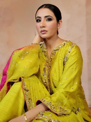 New Punjabi Suit Design 2023
