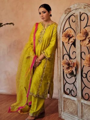 New Punjabi Suit Design 2023
