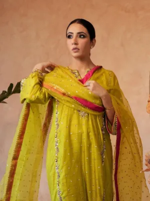 New Punjabi Suit Design 2023