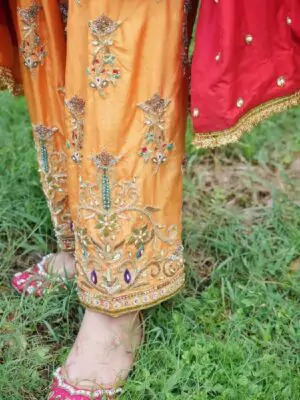 Punjabi Suits Trending Suits For Girls