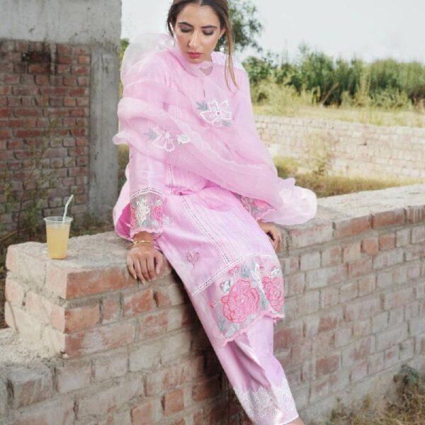 Punjabi Suits Trending Suits For Girls Handwork