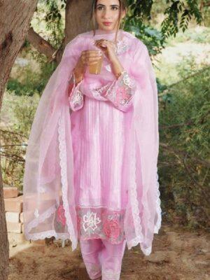 Punjabi Suits Trending Suits For Girls Handwork