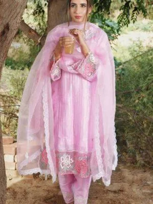Punjabi Suits Trending Suits For Girls Handwork