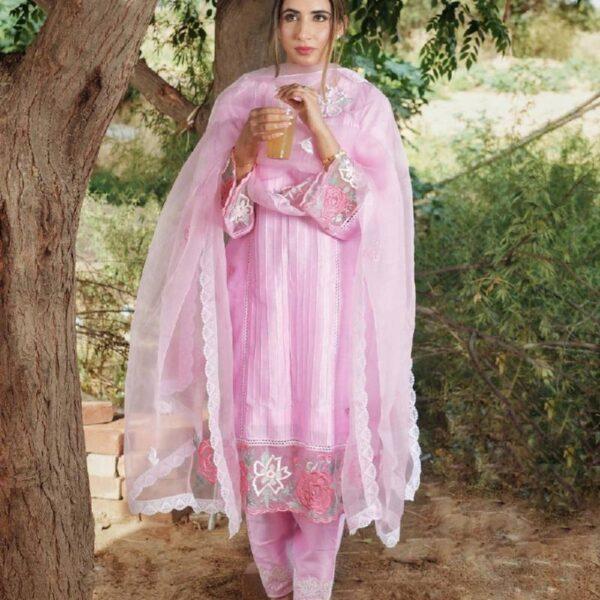 Punjabi Suits Trending Suits For Girls Handwork
