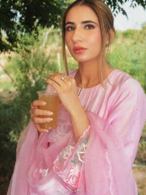 Punjabi Suits Trending Suits For Girls Handwork
