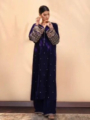 Purple Velvet Suit | Winter Suits For Ladies