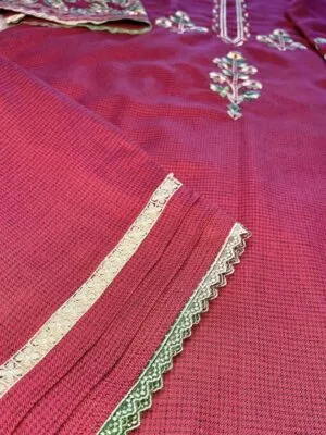 Red Punjabi Suit