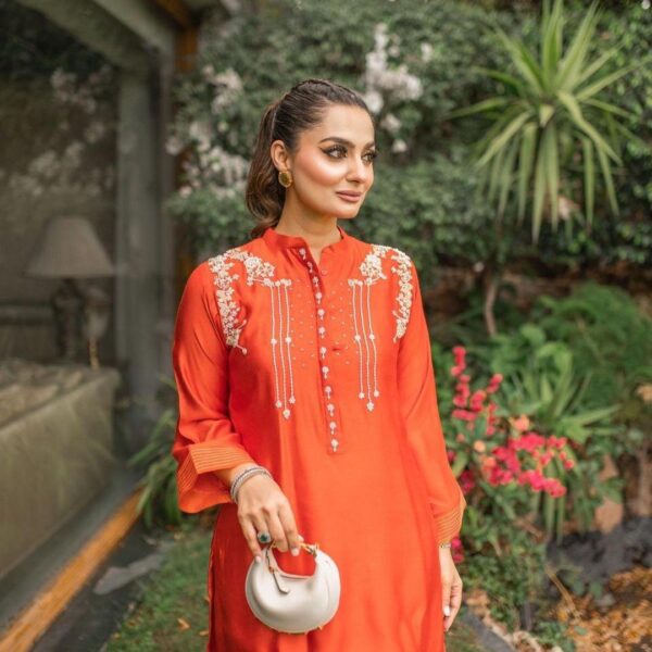 Hand Embroidery Suit Design | Punjabi Suit | Orange