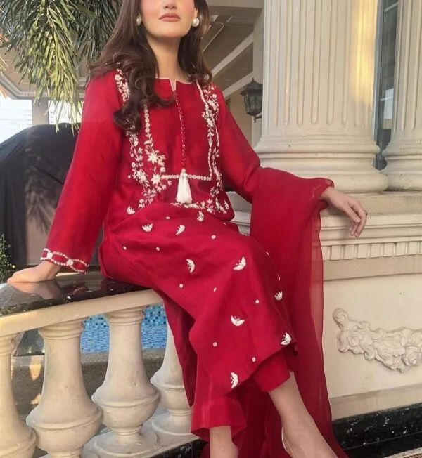 Hand Embroidery Suit Design | Red Suit
