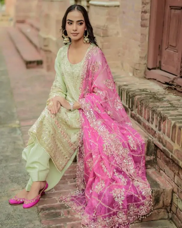 Punjabi Suits | Punjabi Outfit | Green