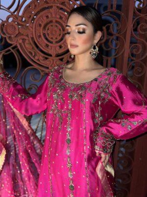 Punjabi Suit | Punjabi Suits Boutique | Pink