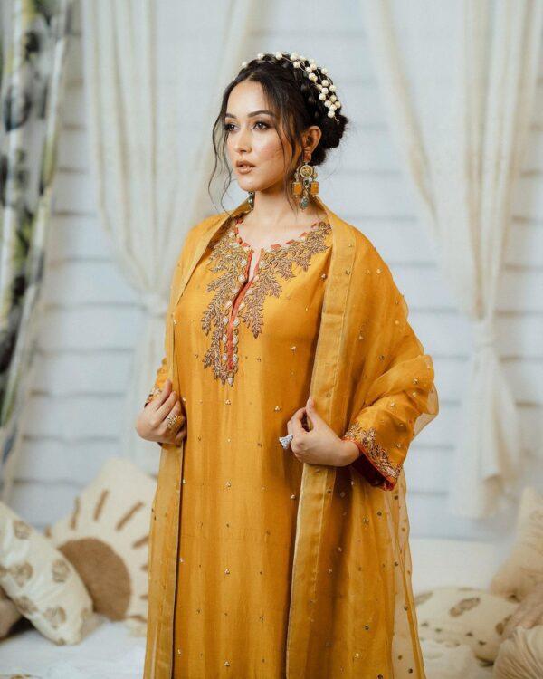 Punjabi Suit | Punjabi Suits Boutique | Premium