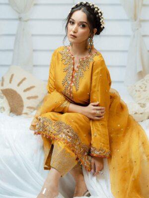 Pakistani punjabi shop suits boutique