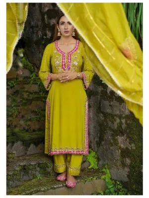 Ladies Punjabi Suit | New Punjabi Suit