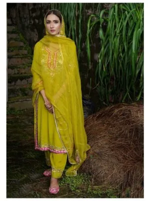 Ladies Punjabi Suit | New Punjabi Suit