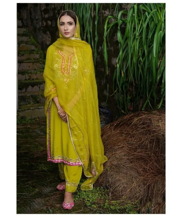 Ladies Punjabi Suit | New Punjabi Suit