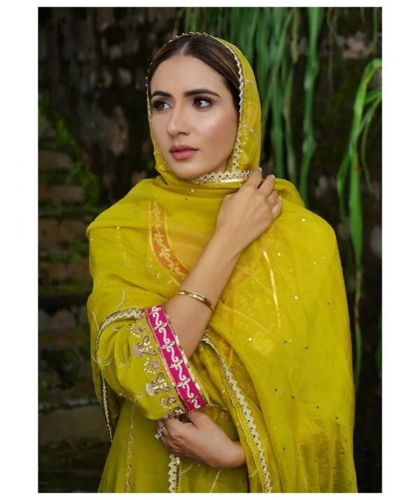 Ladies Punjabi Suit | New Punjabi Suit