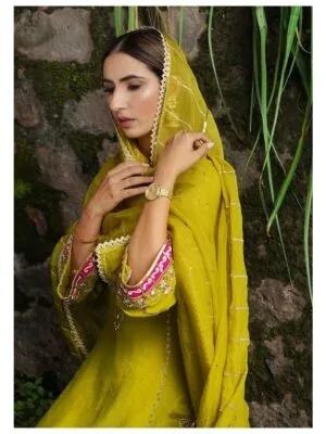 Ladies Punjabi Suit | New Punjabi Suit