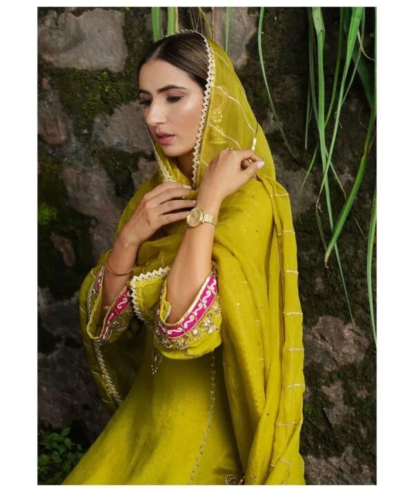 Ladies Punjabi Suit | New Punjabi Suit